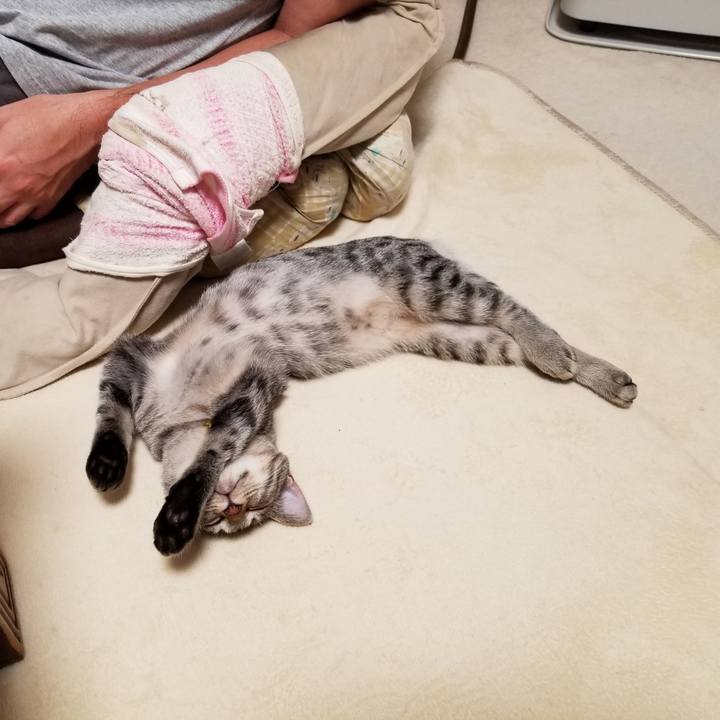 78652a11 5488 4ce8 a289 9edcbccec50a 1668482517538