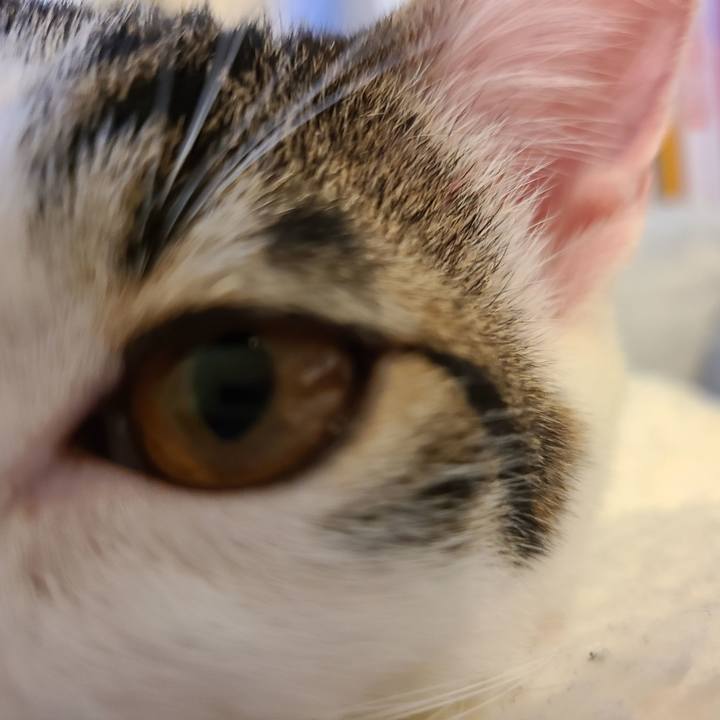 78653631 ad08 42d3 9503 521e0883a68d 1636162988720