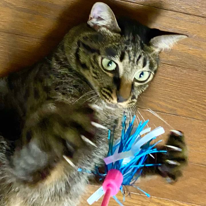 78653bbc 0d81 4b71 aa05 a6be149bbdb2 1664880976141