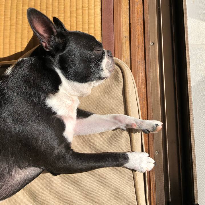 78655434 9f32 4c1b 901d 7ae21752da98 1635993058612