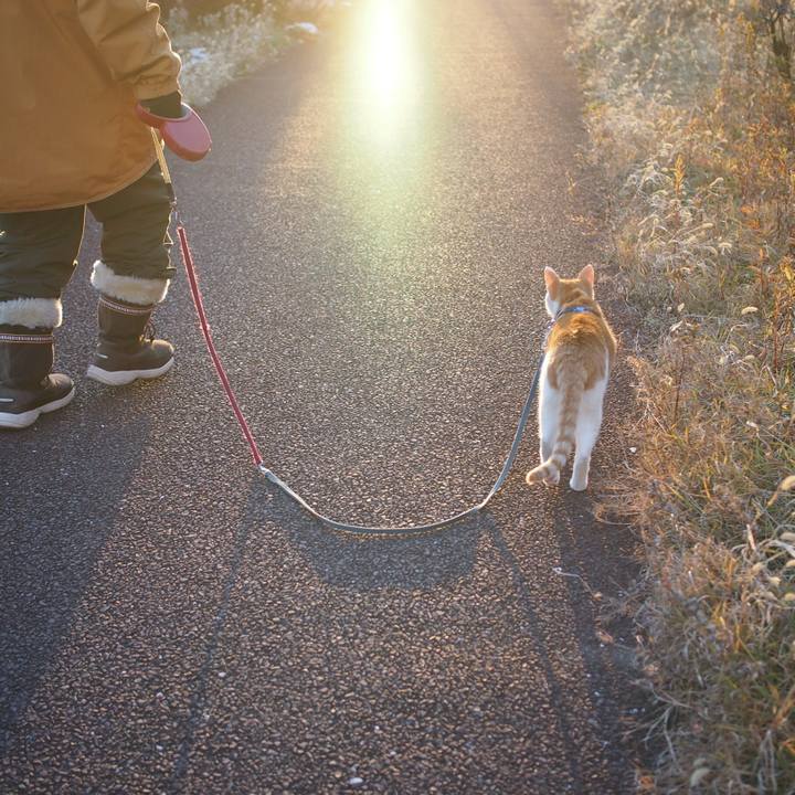 786580dd 9e51 44cf a251 709d2e87bb51 1514896995072