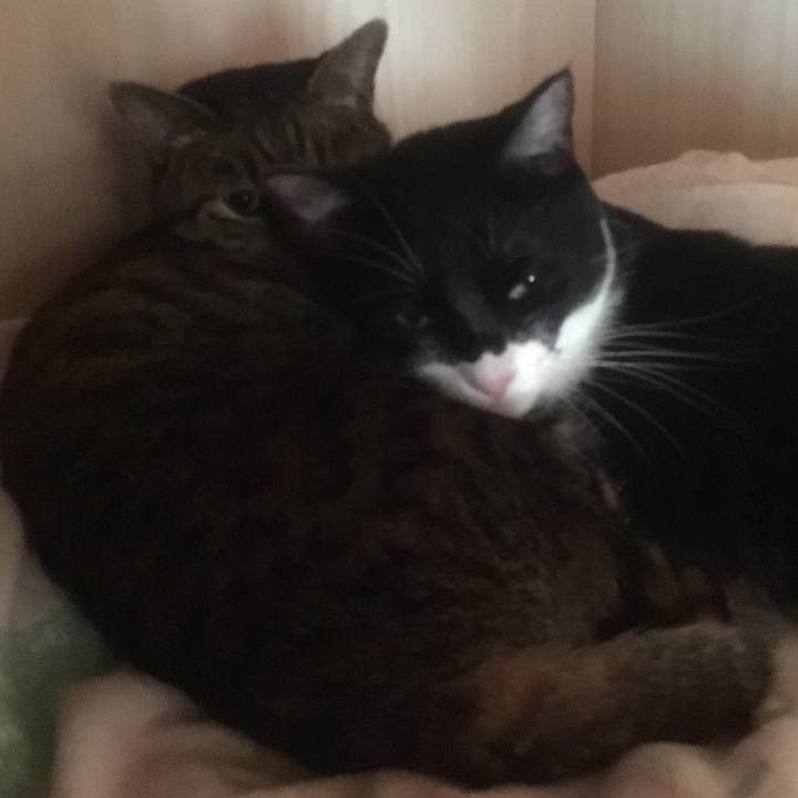 78659772 0714 45ef 91b2 44287d2157cf 1556588600045