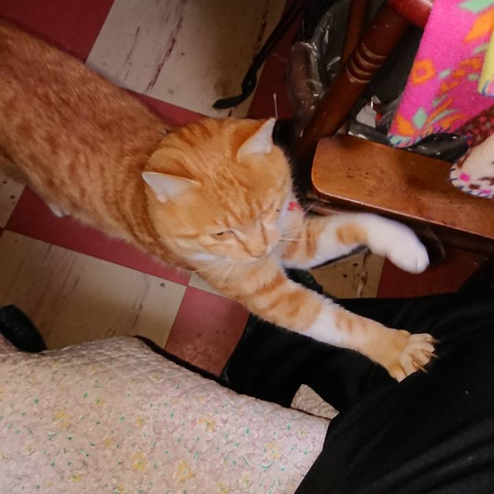 7865e47a 7f29 4aff 9689 18ae3ab02250 1574366007946