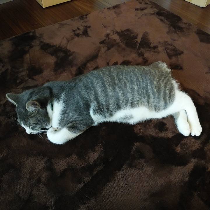 786608c4 1c34 4579 a005 c02a097418de 1575950153492