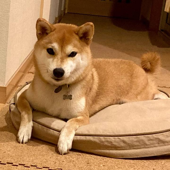 78660a98 fe9c 4ae9 be4a 9f46bc0d7a3e 1658923085331