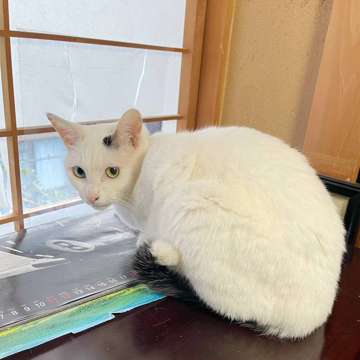 786662a6 8fc4 4364 b17d ce4a6693fe25 1768431417132