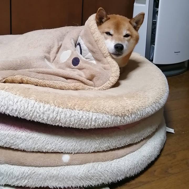 78669156 9aaf 4eb7 b882 cc7cfad300b7 1639494393120