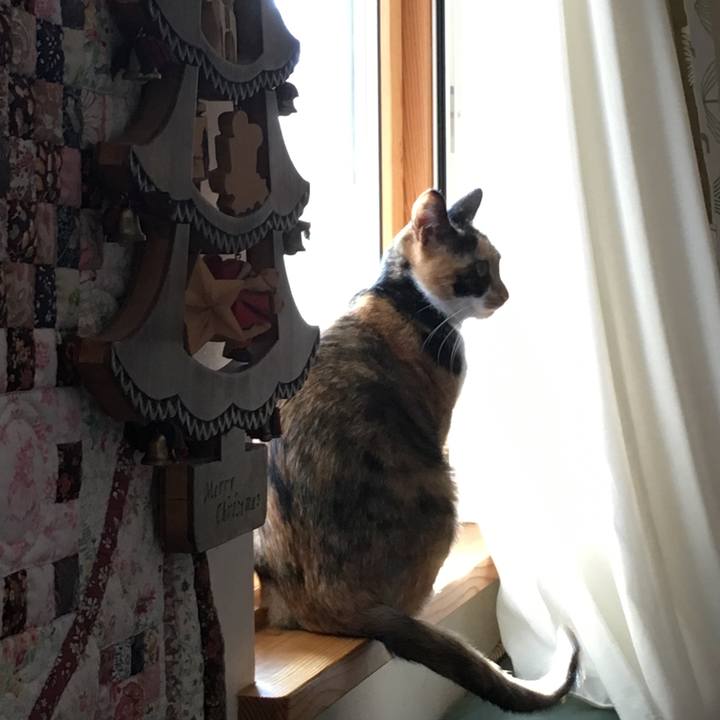 7866e0b5 fb12 435b 91df 9d180012d155 1513429165397