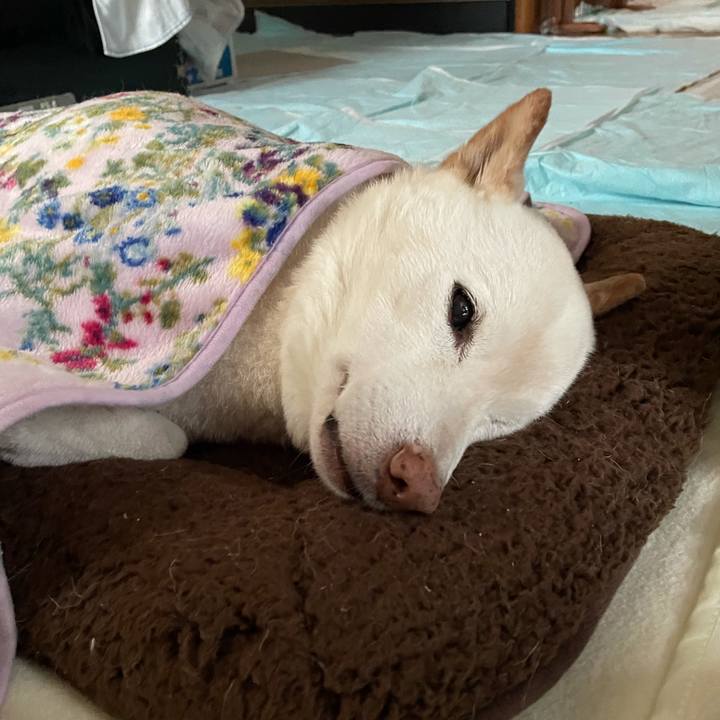 786711dc 8897 491d a981 a4256439fc86 1636807751047