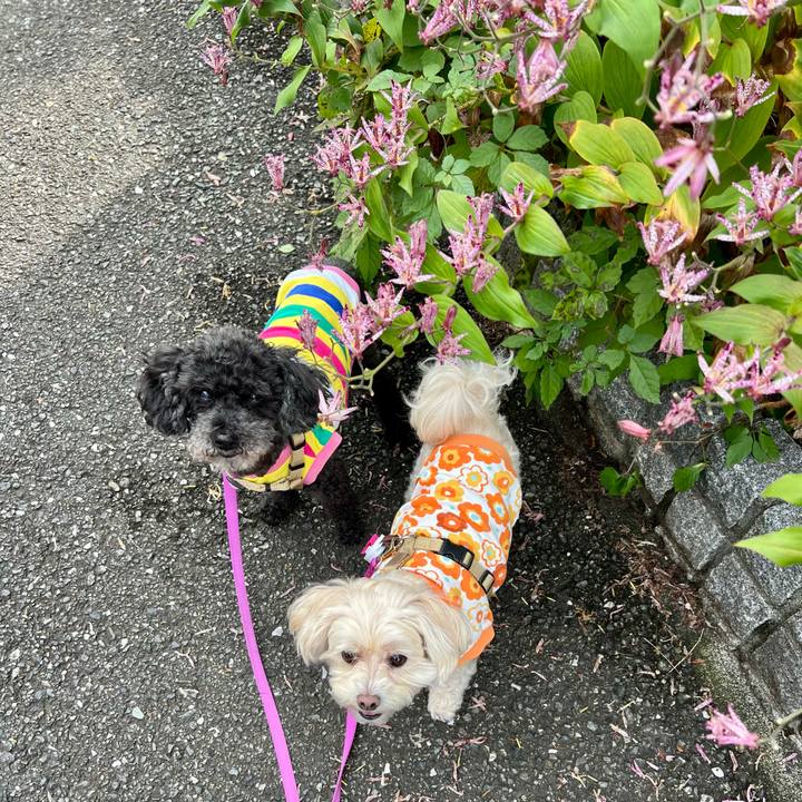 786722fe 7f7f 4ab2 9e16 321f28df9206 1762063634086