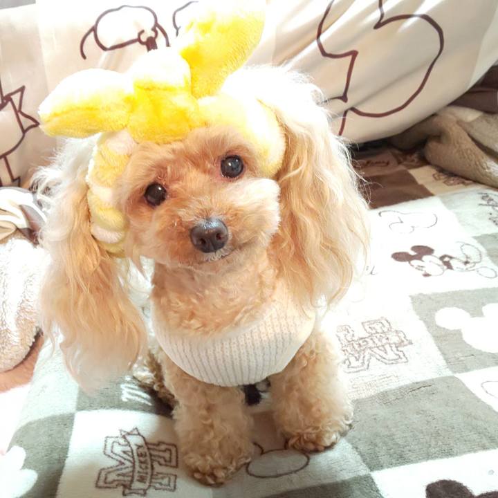 78672d13 73f3 41fd a67e 6ff14f8a9798 1581767750187