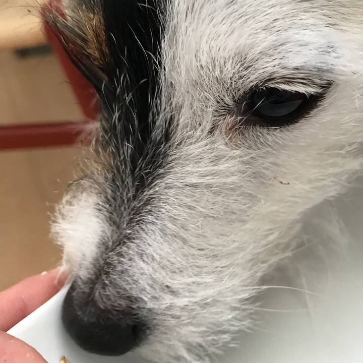 78673383 9c82 45e4 a757 7137ca42dfb6 1518994517516