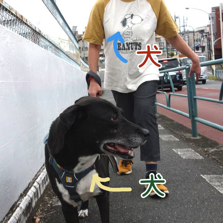 78676cdb a6c9 41c3 9a60 fcd8d6215a8c 1727223644537