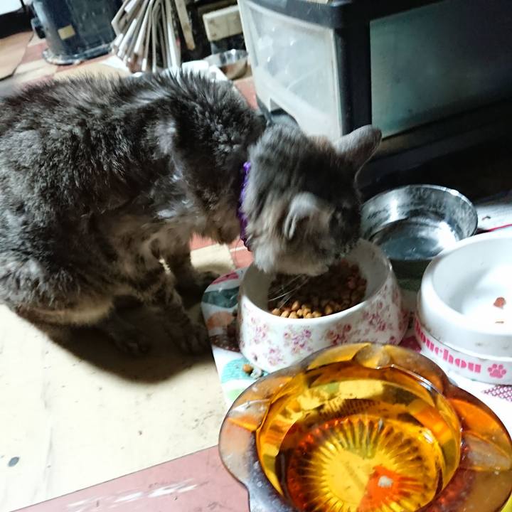 7867846b de69 4cf6 9814 5172b8279a52 1594669752555