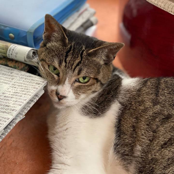 7867854a 1144 42f6 9bfe cc9683995ad0 1628903197792