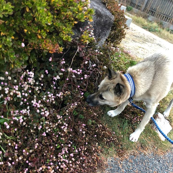 7867d88e 472a 4e67 b524 67c1915ee557 1544960579715