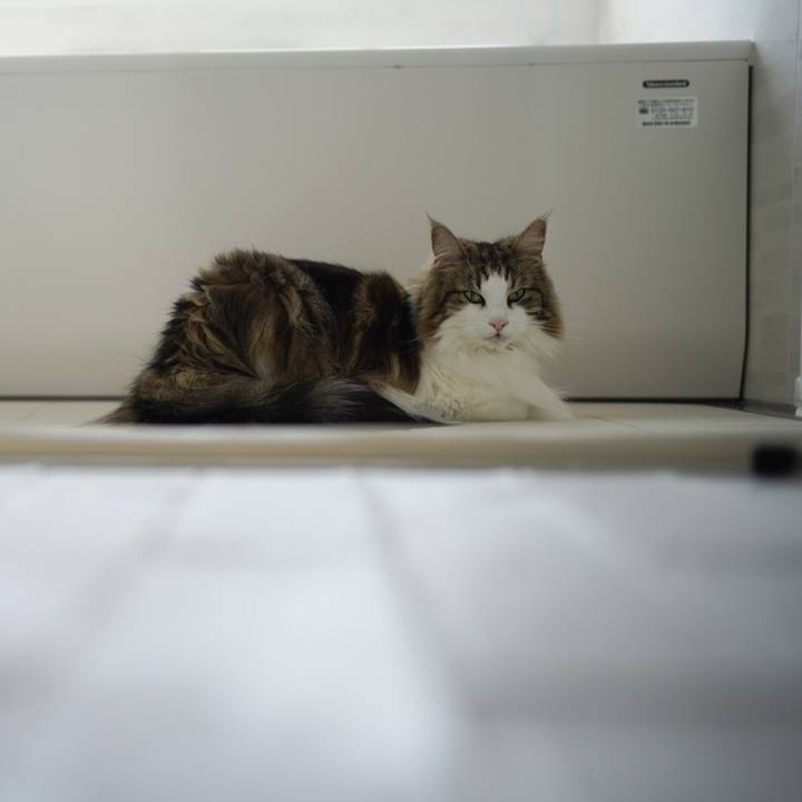 7867da71 ea45 4e6b 8982 fba86ad3b825 1591335445986