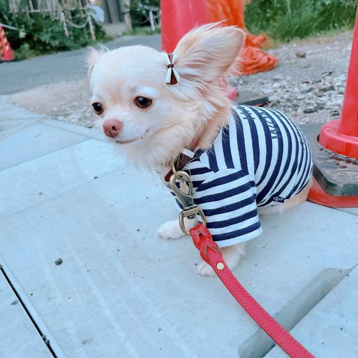 7867dff0 bdab 4a23 9de0 513ab259281d 1656325103077