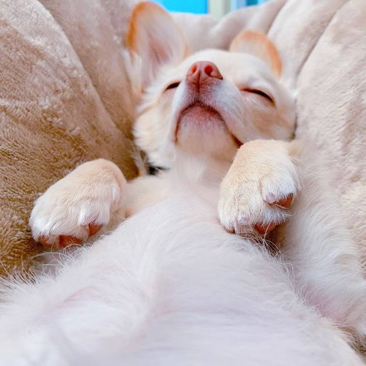 78682621 49a1 41dd 8dd2 1ad3238f4b36 1612855094850