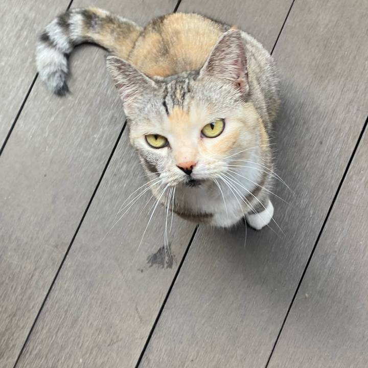 78685345 4672 4fe1 958b a5161582002d 1627540965399