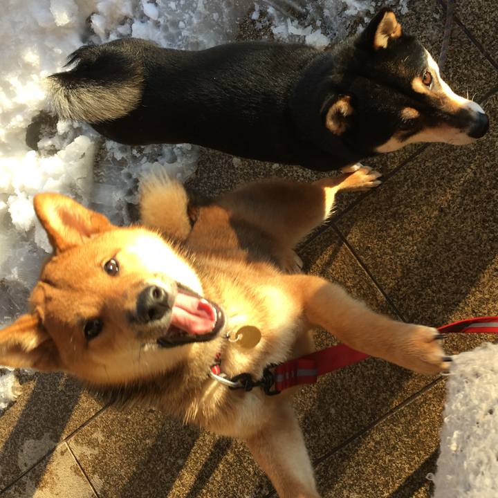 78689dfe 41b7 4799 ae1f 2c8b60549dc5 1515914848268