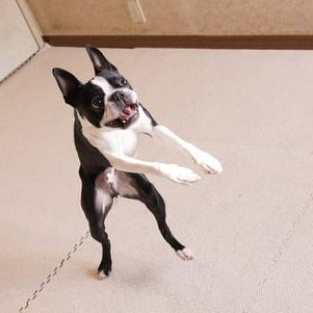 7868af98 6634 4606 8abb cbc34dbb2d61 1549944550297