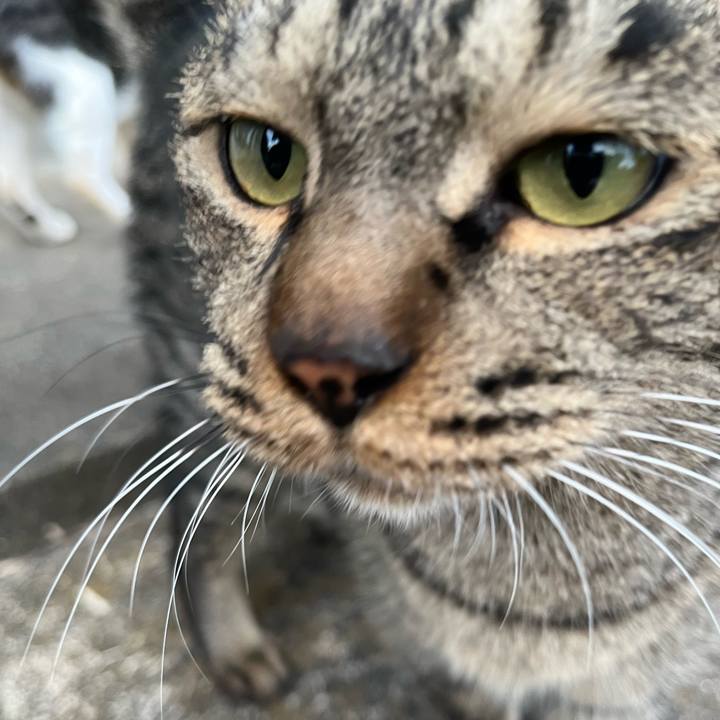 78690787 4f56 461b 813c 2e3d50341cc3 1762946349285