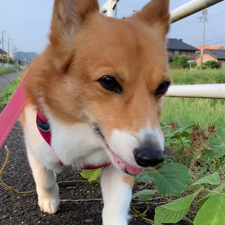 7869174d a113 4db4 a5c6 28bf34d880f2 1684704565196