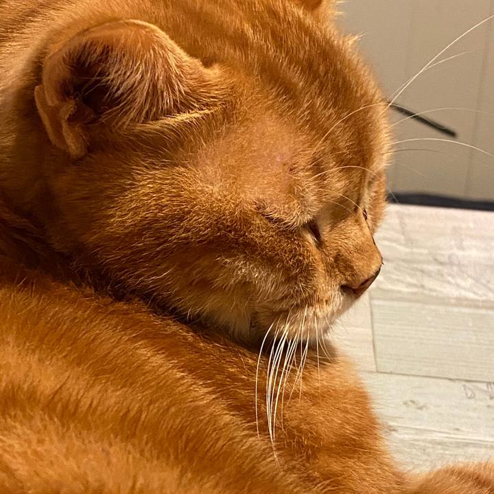 78695afc f1f2 4342 bfc8 b7a61995ce08 1601370267934