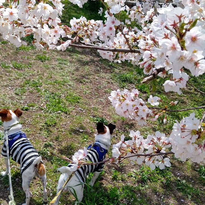 78697d5d b26f 4afa 88b9 92ca7317e77b 1616813743642