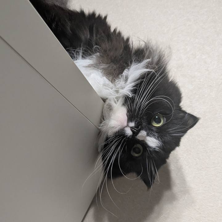 7869aa80 4d22 4961 a35e 97001a24f895 1739268401091