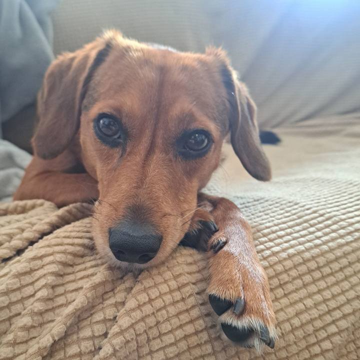 7869c804 237b 4dae bda0 ee565f8c512d 1763731652191