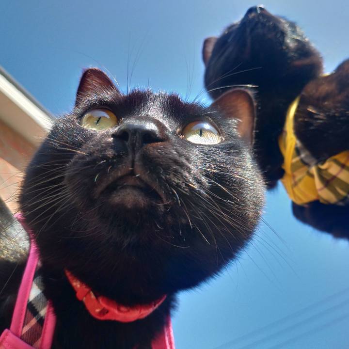 7869d424 88ce 486b b895 5f730a687166 1550891896254