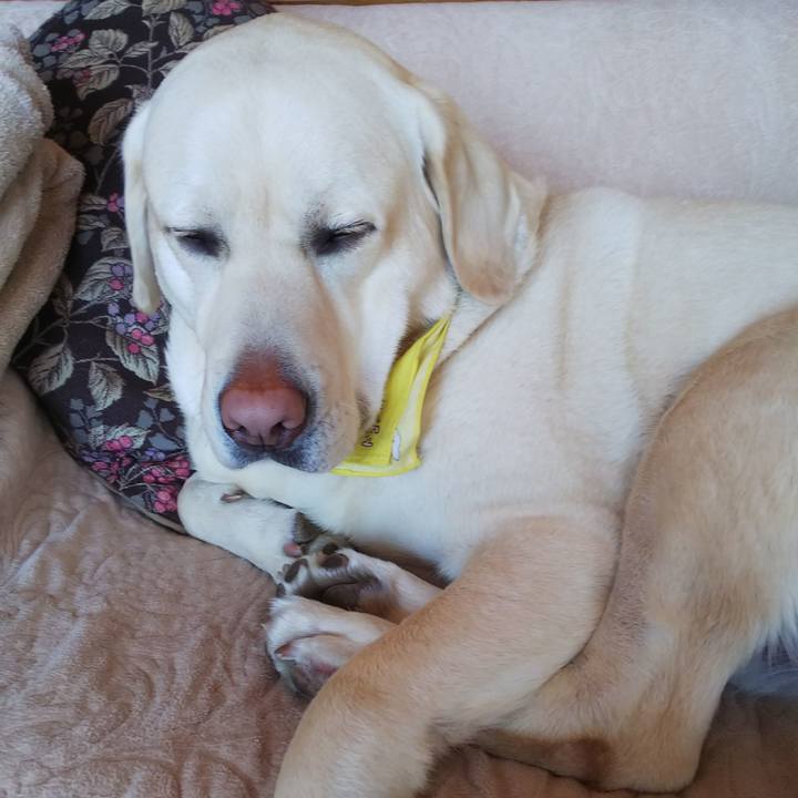 786a029c 6db9 46f0 85c8 680d5a8957ea 1582081783430