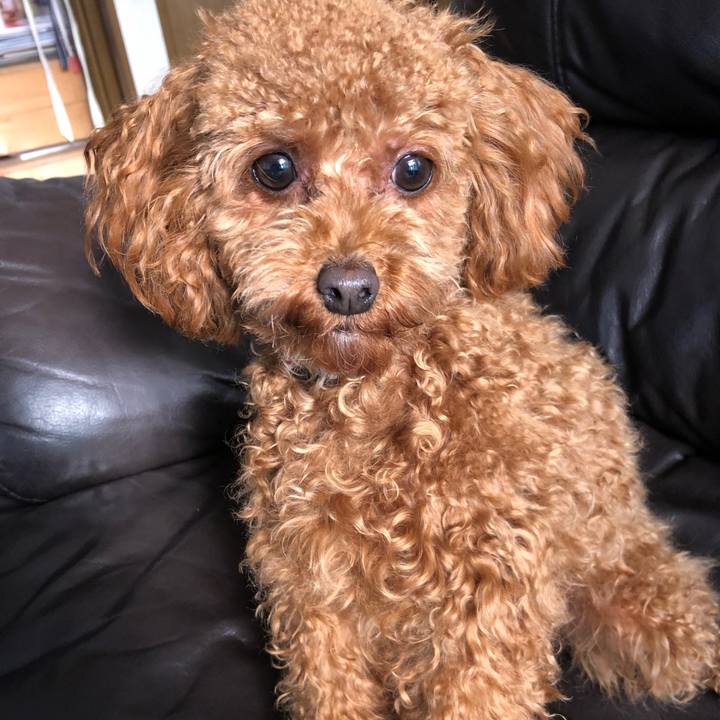 786a3354 2dd5 4ac1 a71e 2c2b71752be6 1517740908536