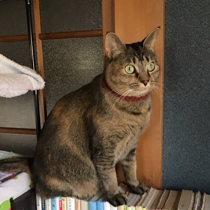 786a3c12 5a3e 4597 a6f6 0827dab61ada 1639289580967