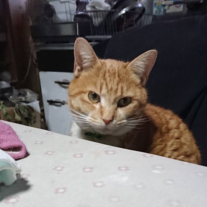 786a7445 c300 4365 bad1 18f5ff403f50 1581025757688