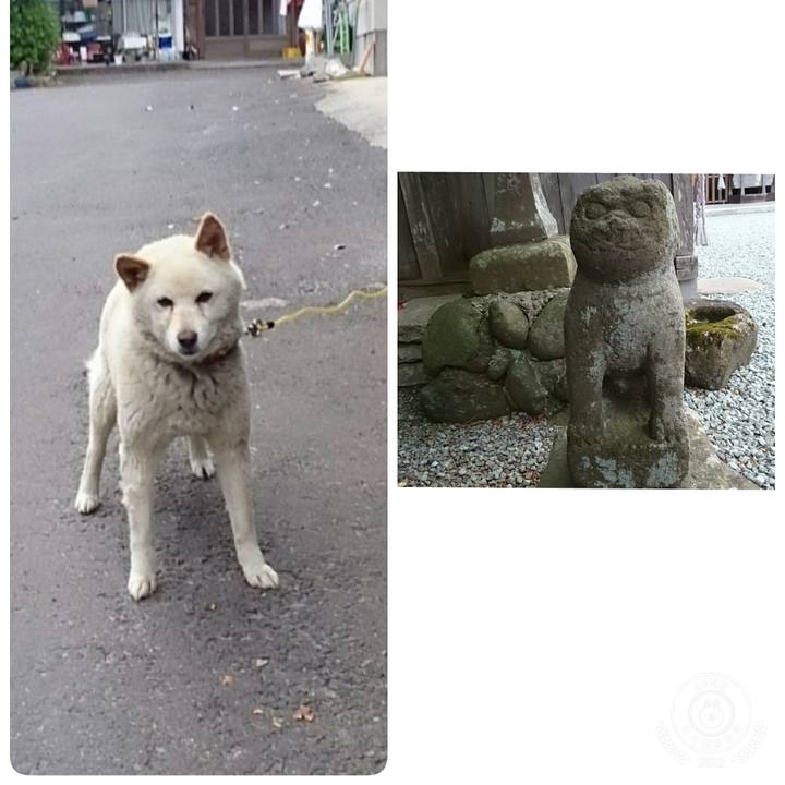 786a7c89 1c02 4b41 9f64 f5e38be7ab5c 1529026779839