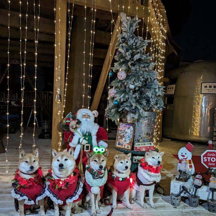 786a858d f48a 462d bbcc 96d94bc7d946 1703514739519