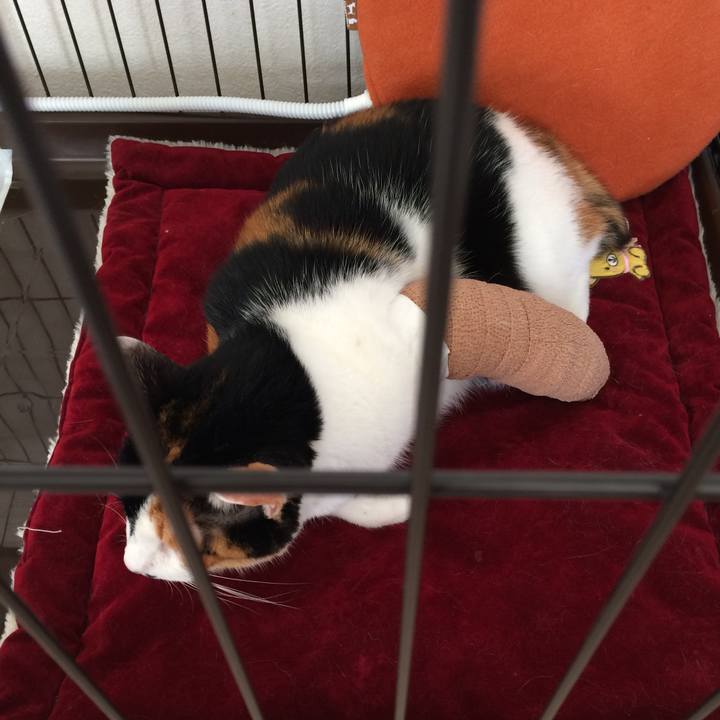 786aa99f b215 4e7e ad2f 915dd1fa789a 1581157974203