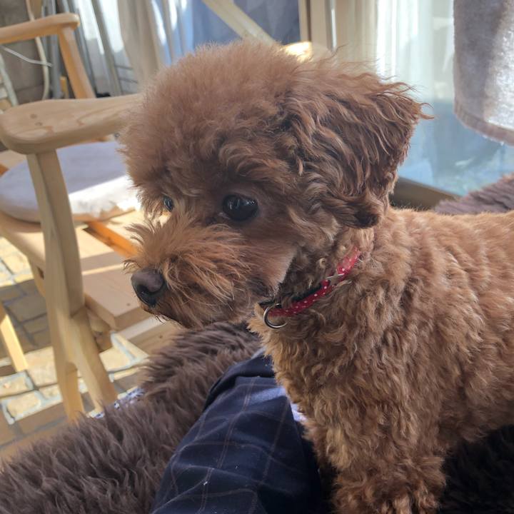 786aba5a cce5 4c58 9ab1 2b1800be0e8c 1578878862341