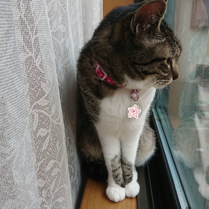 786ad356 82b4 4afb b70e 4332a803f4dc 1617411214737