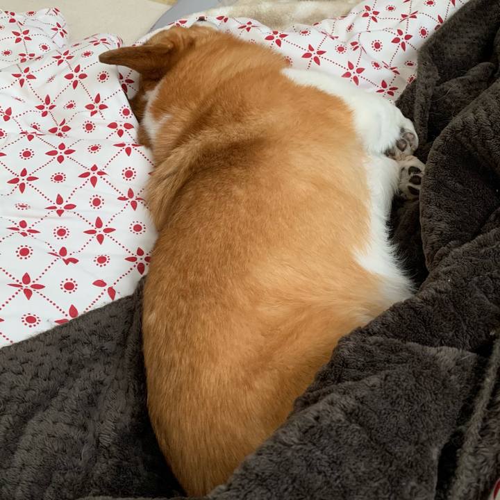 786b0438 66b7 4591 9156 f8e7df04e72b 1679796771218