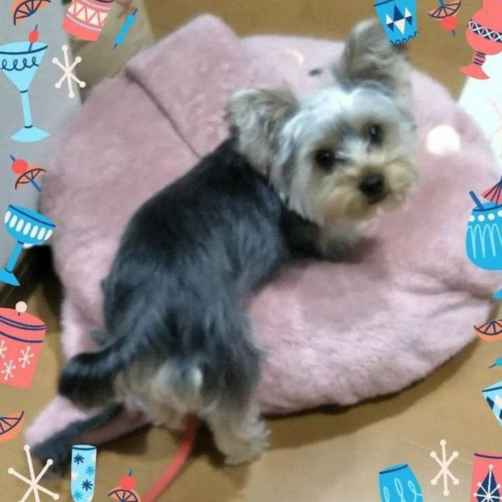 786b0ea4 61da 4ca6 80ec 1d3db7b9f391 1545721752645