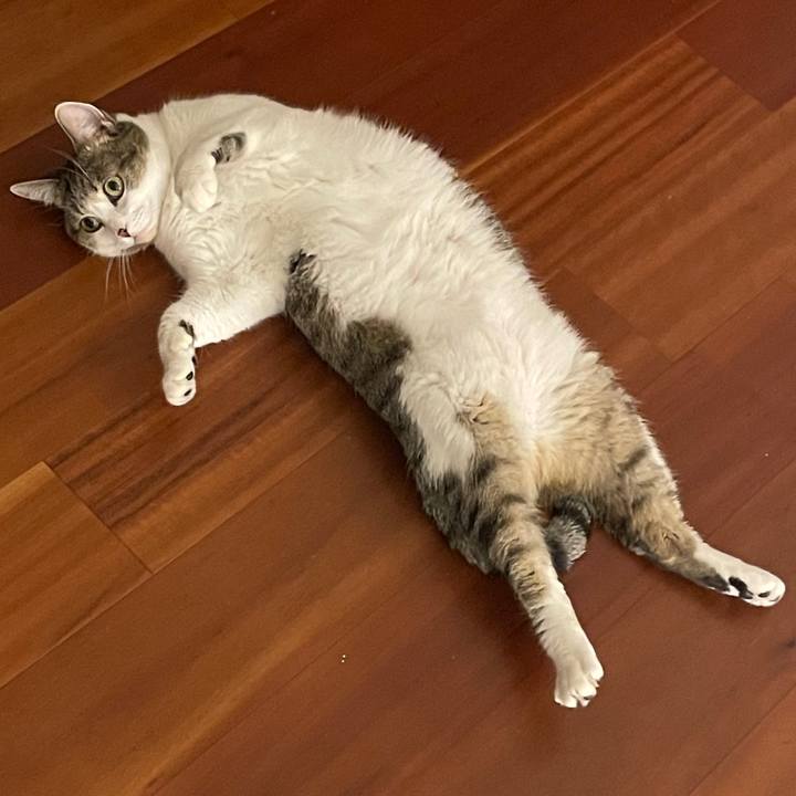 786b1e63 b9b9 43e1 bdc4 8635e1ca868b 1743981763879