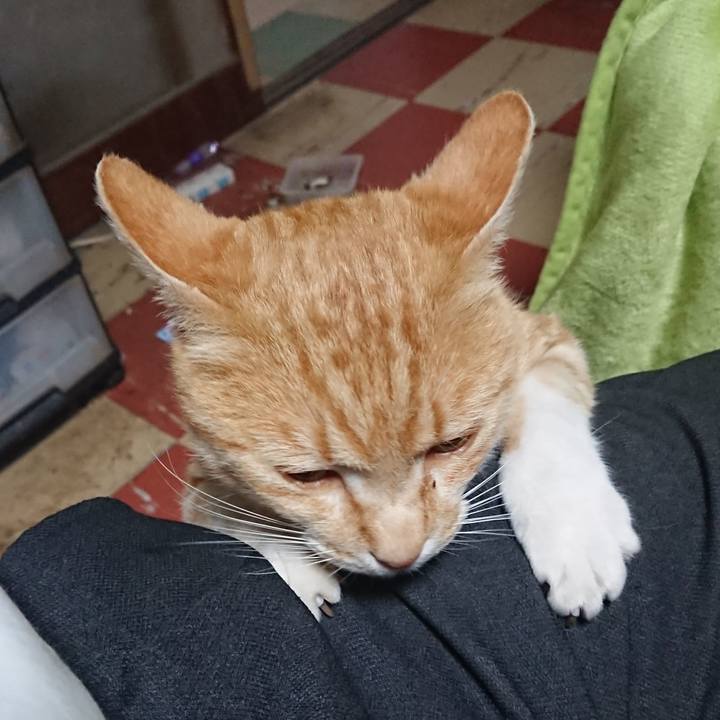 786b2733 697e 45b1 9436 d25828218892 1589360155873