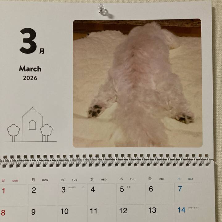 786b2fdf 95a3 4a61 93fe 38d6c233cc7a 1772537723176