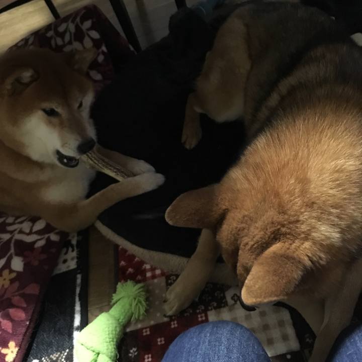 786b4028 b0f5 4431 9dd6 e942a4b1a054 1580646067353