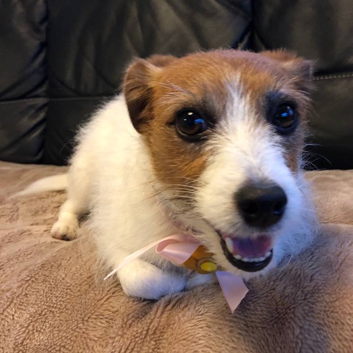 786b7965 5e7c 4ec7 81bd 6262f6b4ff0c 1571724982057