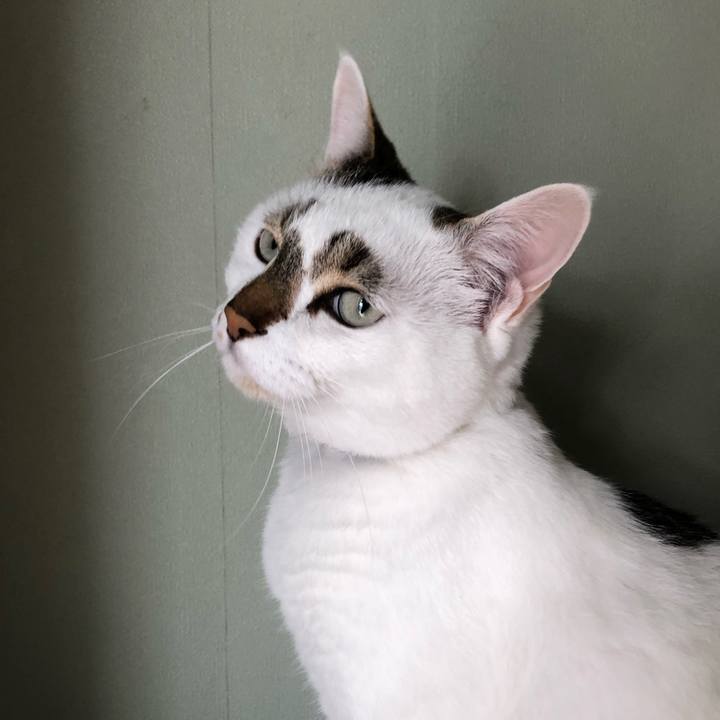 786bda62 c0b6 4a77 9569 60ced23b490d 1623906778380